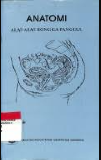 Image of Anatomi: alat-alat rongga panggul